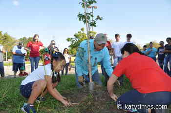 Trees for Houston finishes planting season - Katy Times