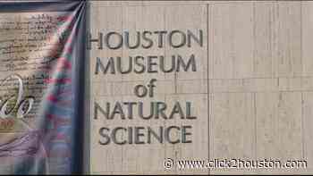 What you need to know about the Houston Museum of Natural Science reopening - KPRC Click2Houston