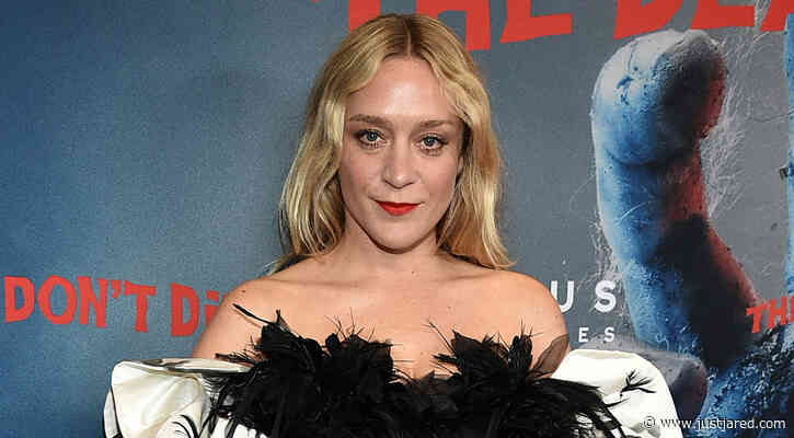Chloe Sevigny Gives Birth to First Child with Sinisa Mackovic
