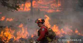 Canada’s wildfire season expected to be ‘well above average’: Natural Resources Canada