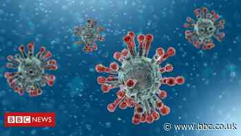 Coronavirus tracing in Wales could need 30,000 tests a day - report - BBC South East Wales
