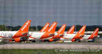 Live coronavirus updates as new contact tracing app is launched - WalesOnline