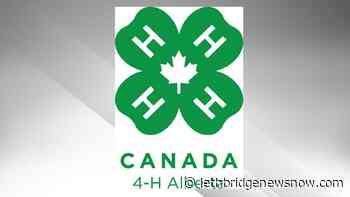 Alberta 4-H groups need community support for Charity Animal Auctions - Lethbridge News Now