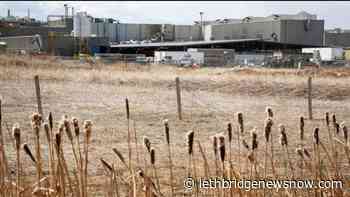 Union challenges Cargill's decision to reopen High River plant - Lethbridge News Now