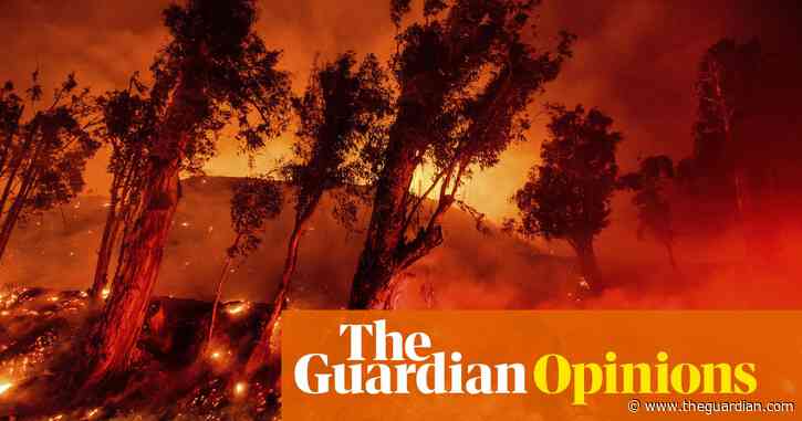 We created the Anthropocene, and the Anthropocene is biting back | Alastair Gee, Dani Anguiano