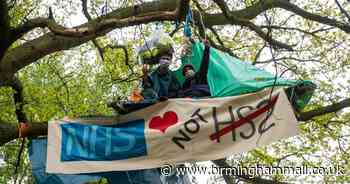 Anti-HS2 protesters set up tree-top camp in woods to stop work going ahead