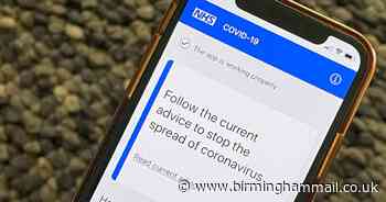 How the coronavirus tracing app works and when it will reach rest of UK