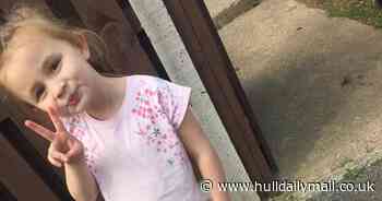 Girl, 4, given new hamster after pet perished in Bransholme fire