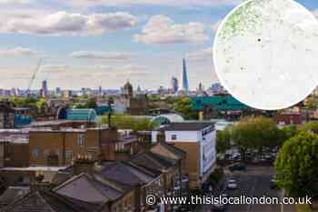 Coronavirus map shows death toll in London