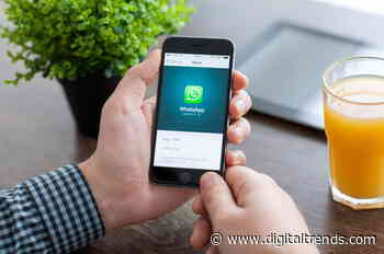 How to use WhatsApp’s new coronavirus fact-checking chatbot