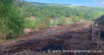 Arson investigation as beauty spot hit by 20 attacks