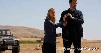 Here’s What 11 TV Writers Are Bingeing