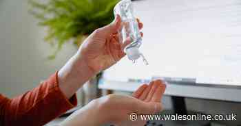 How the world of work will change after lockdown ends