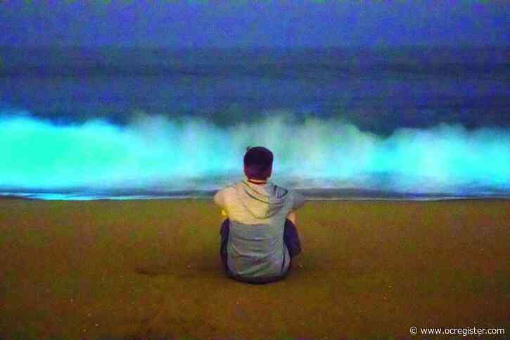 Red tide sticks around O.C.: 7 things to know about glowing biolumensent waves