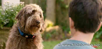 Josh Duhamel & Megan Fox in Fun Comedy 'Think Like a Dog' Trailer