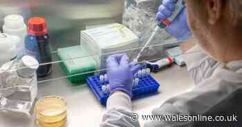 The clinical trials Wales is taking part in to find virus cure