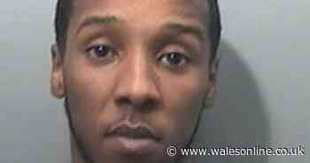 Dealer caught hours after arriving in Wales 'wants to apologise'