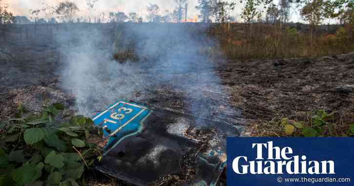 Forest fire season is coming. How can we stop the Amazon burning?