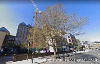 Developers to pay £25,000 to remove single tree as High Road development approved