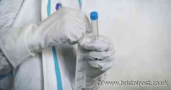 Latest coronavirus cases confirmed in Bristol as UK set for highest European death toll - Bristol Post