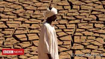 Climate change: More than 3bn could live in extreme heat by 2070
