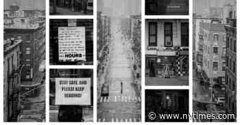 Coronavirus Notebook: Finding Solace, and Connection, in Classic Books