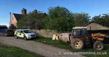 Man dead after water buffalo attacks three people near Usk