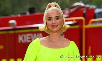 Katy Perry, Lil Nas X and Hailey Bieber will  raise awareness for COVID-19 Solidarity Response Fund