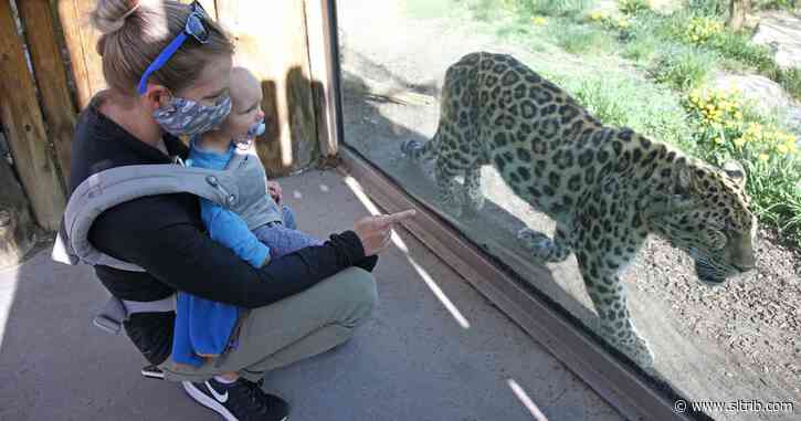 Zoos turn to social media to delight, raise money amid virus