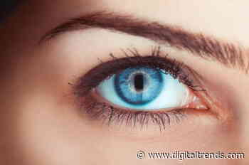 Gene therapy helps people with monochrome vision to see in color