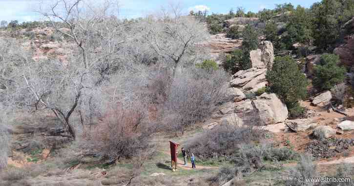 BLM seeking public comment on proposal to develop popular trailhead in Bears Ears National Monument