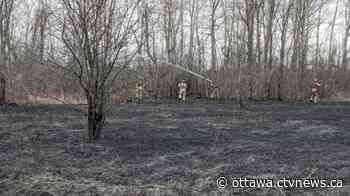 Despite burn ban, Ottawa Fire responds to more than 180 burn complaints - CTV News Ottawa