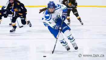 Babstock signs with new NWHL Toronto team - TSN