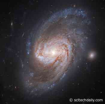 Galaxy Galaxy, Burning Bright! Hubble Spots Source of Two Brilliant Supernovae
