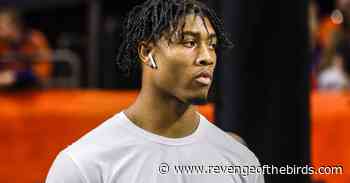 New School Coaching in the NFL - Revenge of the Birds