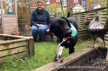 Assistance dog learns to do washing and gardening for Horwich woman