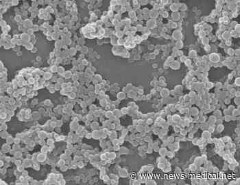 New preclinical study shows promise for treating necrotizing enterocolitis