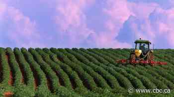 The pandemic is creating a season of anxiety in hard-hit farm sectors