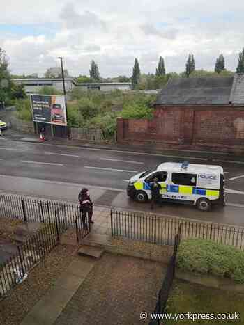 Five more people arrested following serious incident in York street