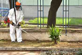 A NAPOLI - Dal 6 maggio operazione urgente di taglio erba e sistemazione di tutti i cimiteri cittadini - Napoli Magazine