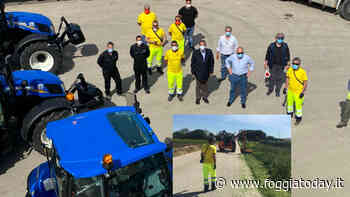 La Provincia ci dà un taglio, via l'erba dai cigli delle strade foggiane: investiti 200mila euro oggi per risparmiare domani - FoggiaToday