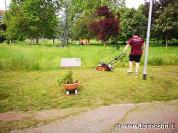 NICHELINO - L'assessore tifoso taglia l'erba al parco Valentino Mazzola per il 4 maggio - TorinoSud