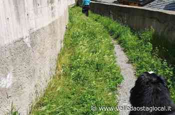Aosta: aprono quattro parchi, al via taglio erba in sentieri e aiuole - Valledaostaglocal.it