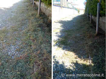 Pagnano, un lettore: erba alta in Viale Rimembranze - Merate Online