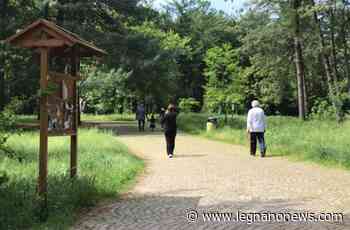 Parco Castello, si torna a passeggiare tra l'erba incolta - LegnanoNews