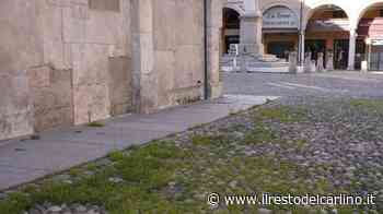 Coronavirus Modena, in piazza Grande cresce l’erba - il Resto del Carlino