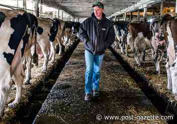 19 Neighbors: This sixth-generation dairy farmer is trying to tackle tough questions