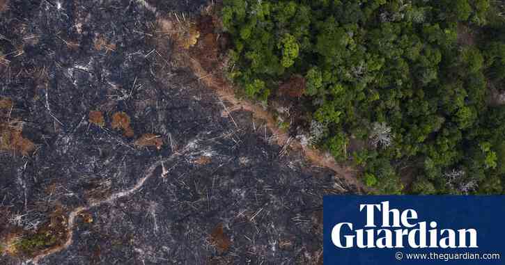 Brazil using coronavirus to cover up assaults on Amazon, warn activists