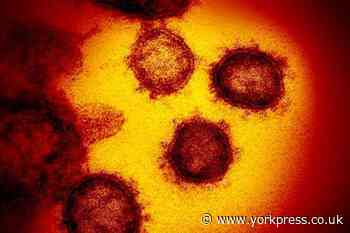 Number of coronavirus related deaths in York trust reaches 150