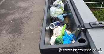 Litter louts are using empty flower planters as rubbish bins